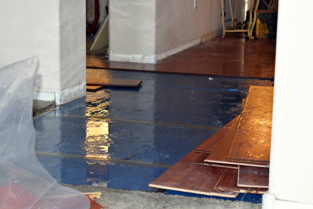 Professional Burst Pipe Water Damage technician working in Eudora, KS